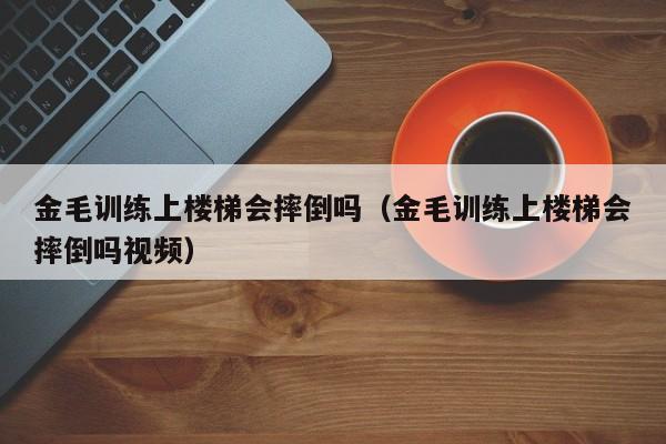 金毛训练上楼梯会摔倒吗（金毛训练上楼梯会摔倒吗视频）