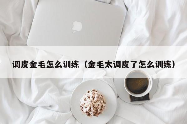 调皮金毛怎么训练（金毛太调皮了怎么训练）