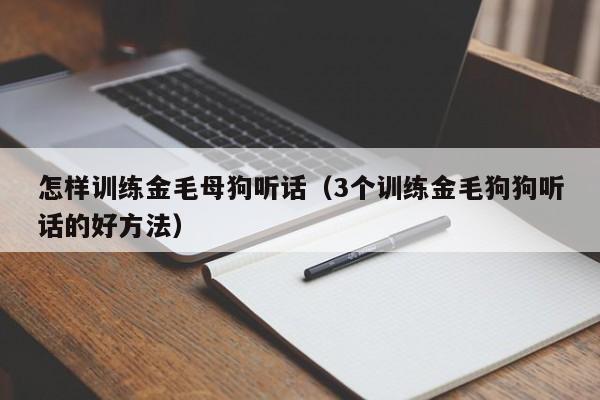 怎样训练金毛母狗听话（3个训练金毛狗狗听话的好方法）