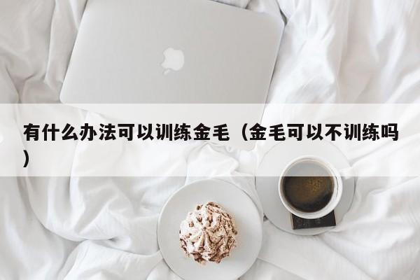 有什么办法可以训练金毛（金毛可以不训练吗）