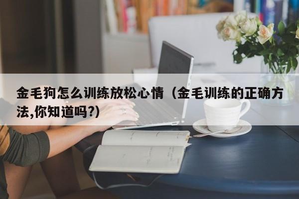 金毛狗怎么训练放松心情（金毛训练的正确方法,你知道吗?）