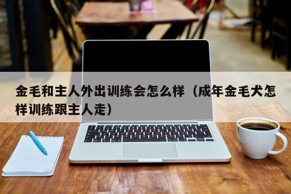 金毛和主人外出训练会怎么样（成年金毛犬怎样训练跟主人走）