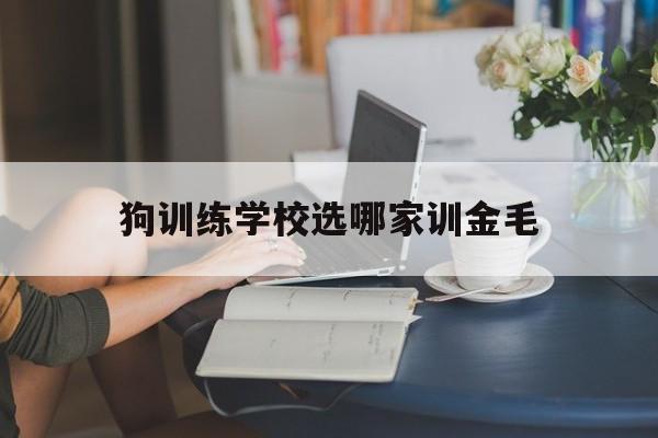 狗训练学校选哪家训金毛(训练狗狗的学校,一般要多少钱)