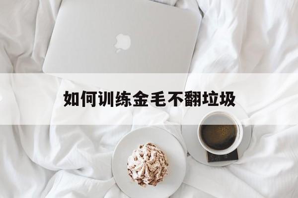 如何训练金毛不翻垃圾(怎么训练金毛出门不捡吃的)