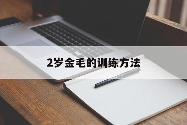 2岁金毛的训练方法(2岁金毛怎么训练才听话的)