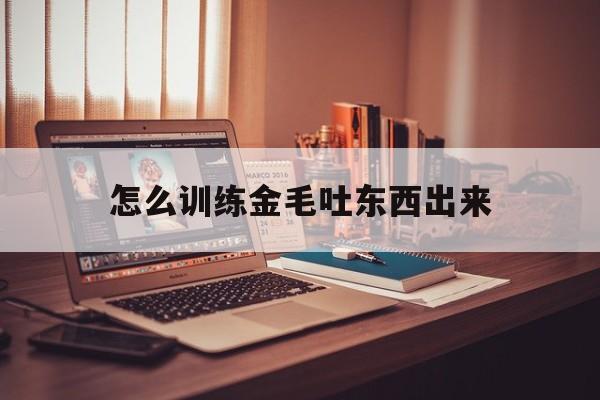 怎么训练金毛吐东西出来(金毛怎么训练把东西叼回来)