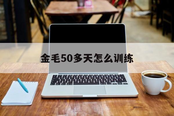 金毛50多天怎么训练(50天的金毛可以训练吗)