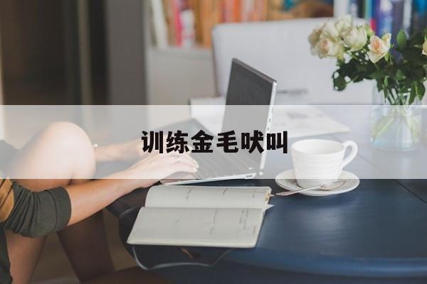 训练金毛吠叫(金毛吠叫怎么办)