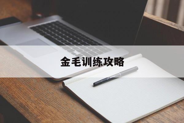 金毛训练攻略(金毛训练教程全集)