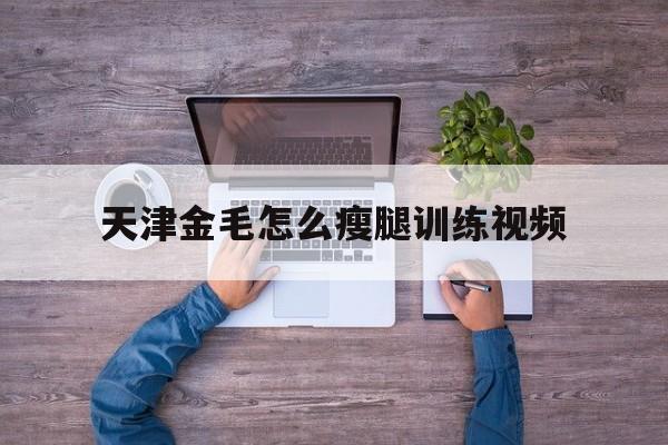 天津金毛怎么瘦腿训练视频(金毛训练的正确方法,你知道吗?)