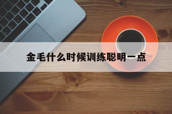 金毛什么时候训练聪明一点(金毛什么时候训练聪明一点呢)