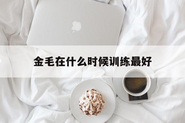 金毛在什么时候训练最好(金毛在什么时候训练大小便最容易)