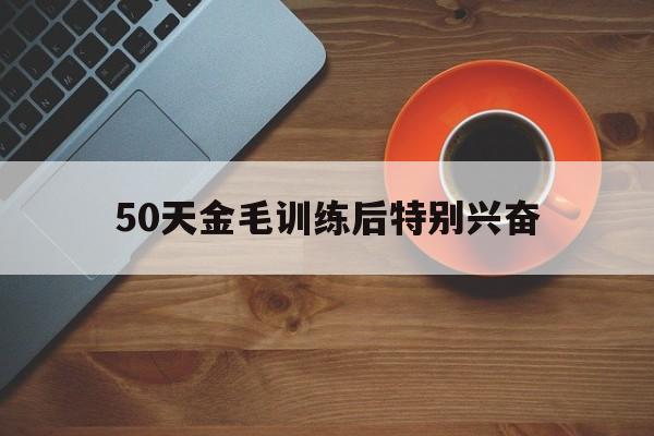 50天金毛训练后特别兴奋(50天金毛训练后特别兴奋正常吗)