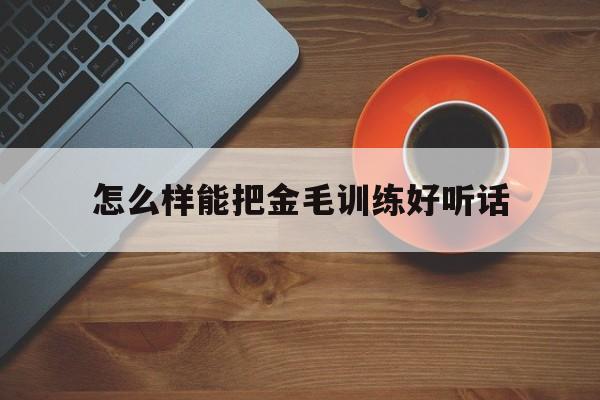 怎么样能把金毛训练好听话(怎么训练金毛可以让金毛长时间在固定的位置上)