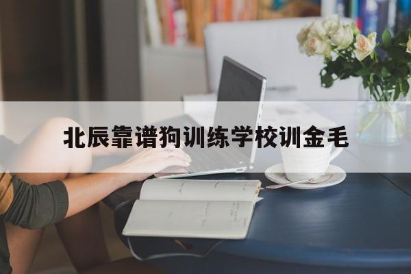 北辰靠谱狗训练学校训金毛(北辰附近哪家宠物医院比较好)