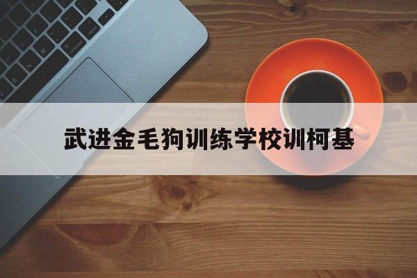 武进金毛狗训练学校训柯基的简单介绍