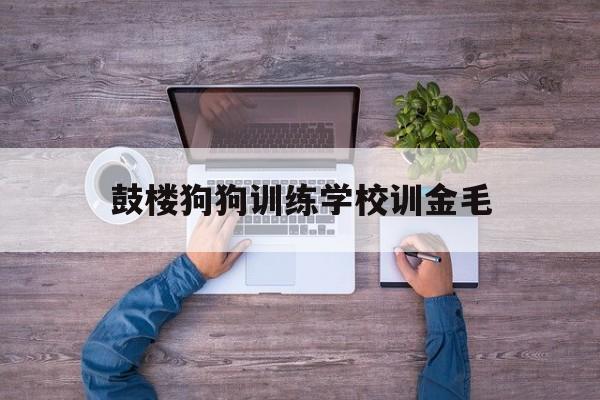 鼓楼狗狗训练学校训金毛(鼓楼区养犬管理工作站电话)