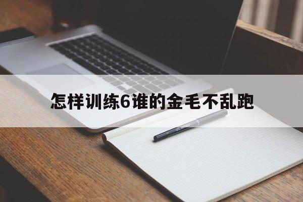 怎样训练6谁的金毛不乱跑(怎么训练金毛可以让金毛长时间在固定的位置上)