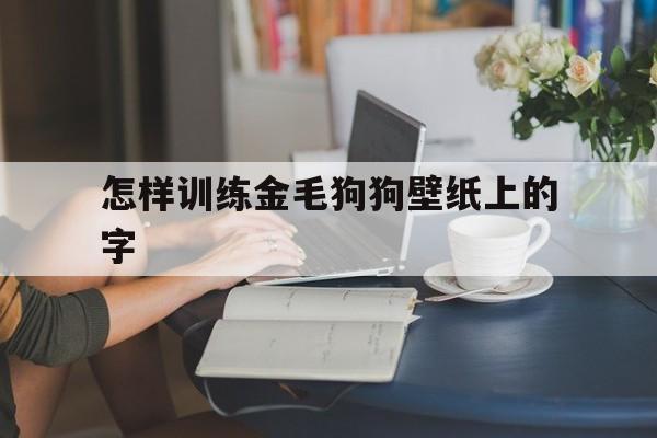 怎样训练金毛狗狗壁纸上的字(怎么让金毛犬记住自己的名字呢)