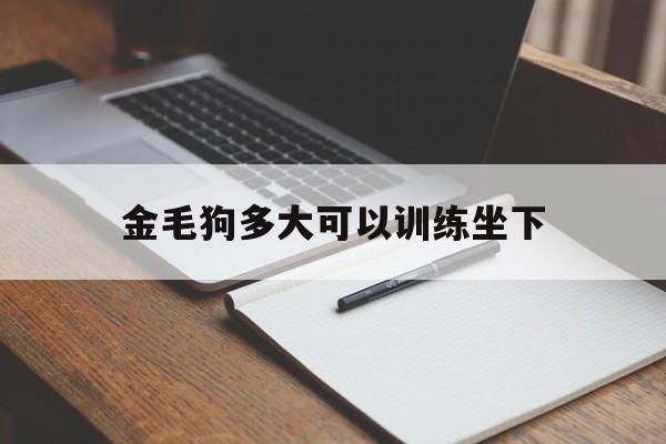 金毛狗多大可以训练坐下(金毛多大可以自己上下楼梯)