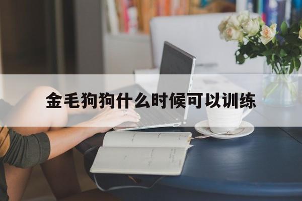 金毛狗狗什么时候可以训练(金毛狗狗什么时候可以训练出来)