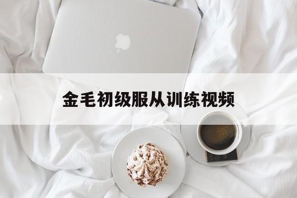 金毛初级服从训练视频的简单介绍