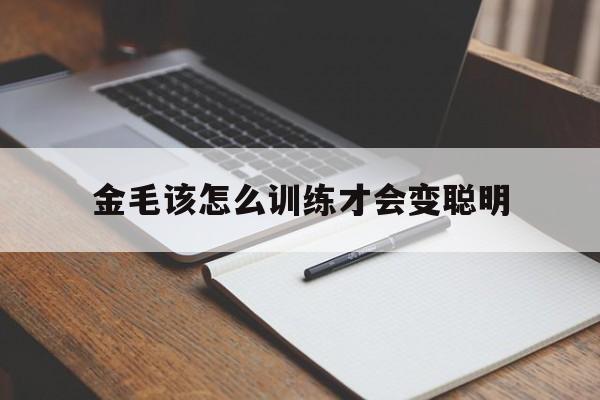 金毛该怎么训练才会变聪明(金毛训练的正确方法,你知道吗?)