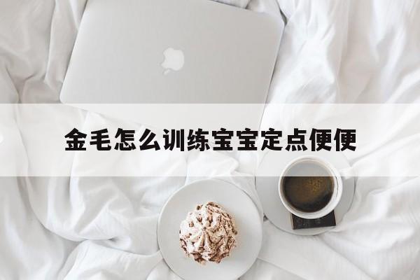 金毛怎么训练宝宝定点便便(金毛怎么训练宝宝定点便便的方法)