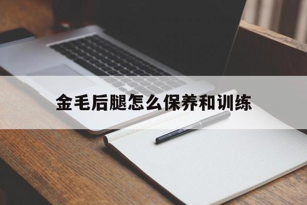 金毛后腿怎么保养和训练(金毛后腿怎么保养和训练好)