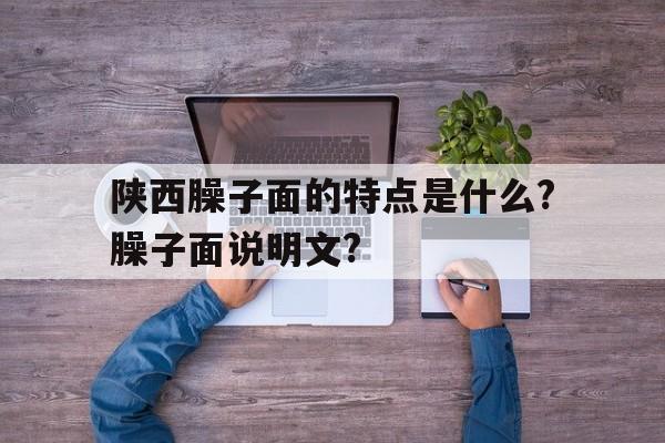 陕西臊子面的特点是什么?臊子面说明文?的简单介绍