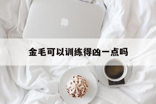 金毛可以训练得凶一点吗(金毛可以训练得凶一点吗为什么)