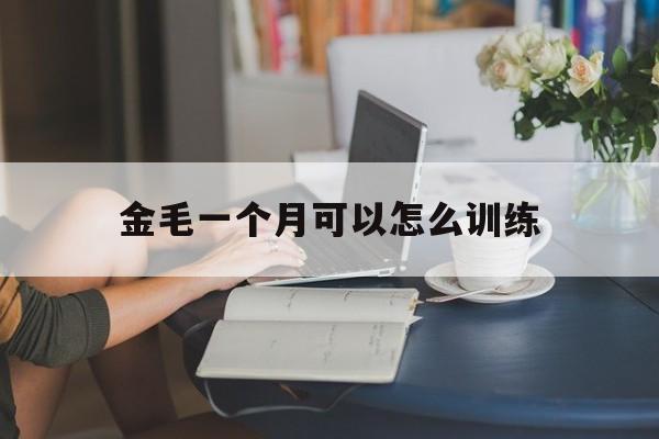 金毛一个月可以怎么训练(金毛一个月怎么训练大小便)