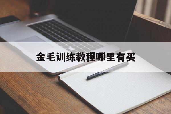 金毛训练教程哪里有买(金毛训练教程哪里有买的啊)