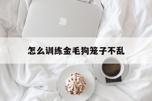 怎么训练金毛狗笼子不乱(怎么训练金毛狗笼子不乱跑)