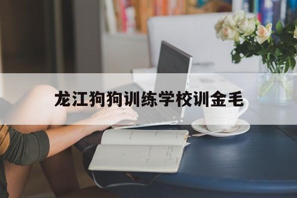 龙江狗狗训练学校训金毛的简单介绍