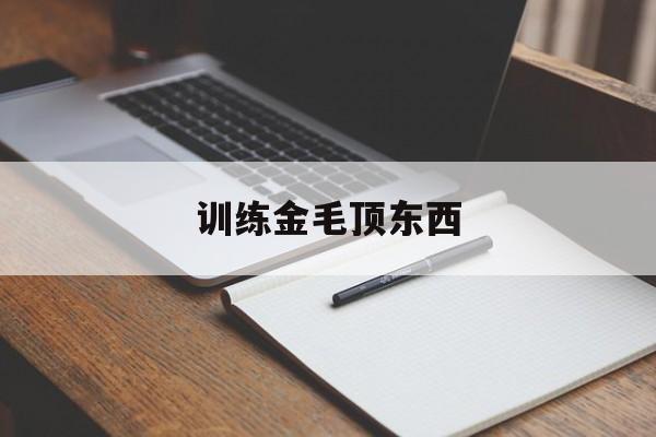 训练金毛顶东西(怎么教金毛顶东西)