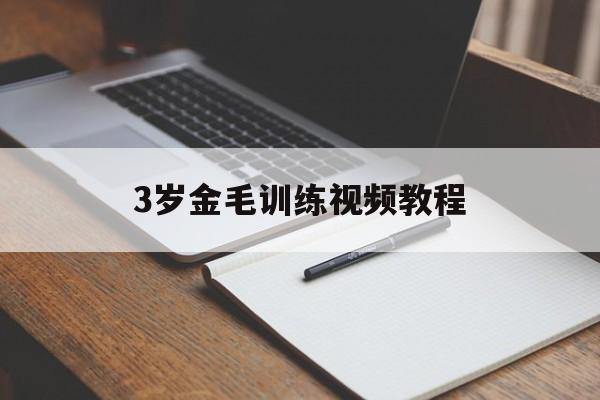 3岁金毛训练视频教程的简单介绍