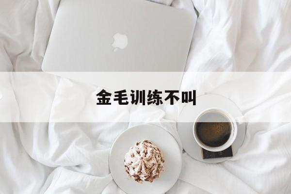 金毛训练不叫(训练金毛不扑人)