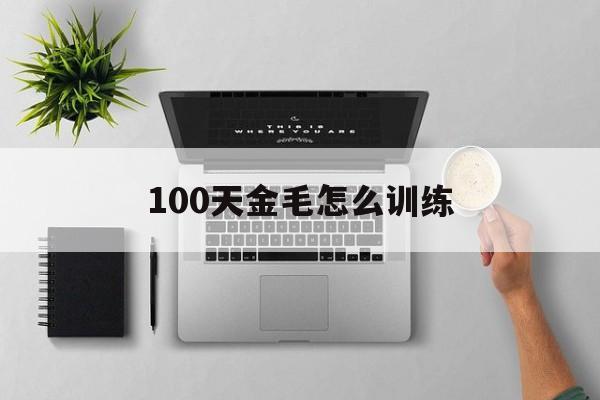 100天金毛怎么训练(100天金毛应该多少斤)