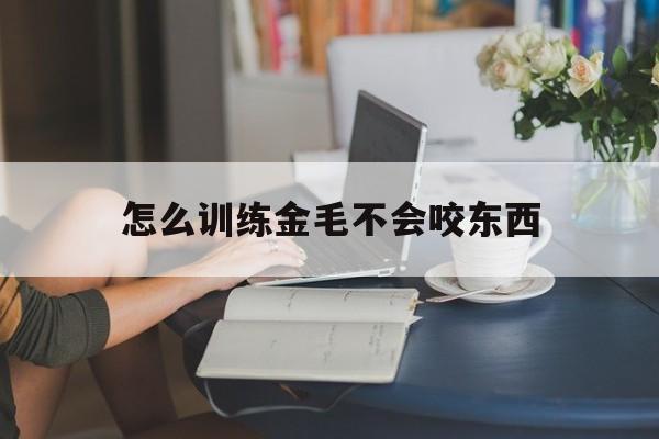 怎么训练金毛不会咬东西(怎么训练金毛不会咬东西视频)