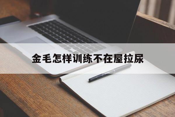 金毛怎样训练不在屋拉尿(怎样训练金毛不在家大小便)