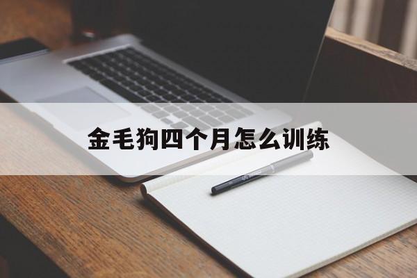 金毛狗四个月怎么训练(金毛狗四个月怎么训练视频)