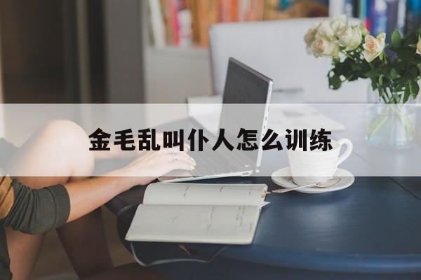 金毛乱叫仆人怎么训练(金毛老喜欢叫怎么打它好)