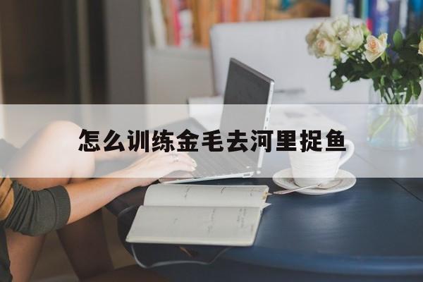 怎么训练金毛去河里捉鱼(怎么训练金毛可以让金毛长时间在固定的位置上)