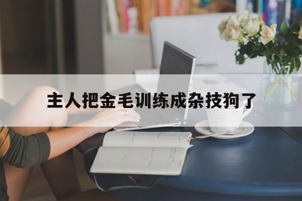 主人把金毛训练成杂技狗了(主人把金毛训练成杂技狗了怎么办)