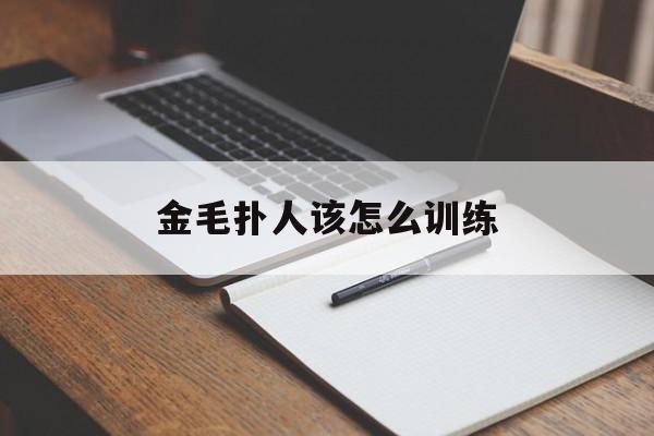 金毛扑人该怎么训练(金毛扑人该怎么训练好)