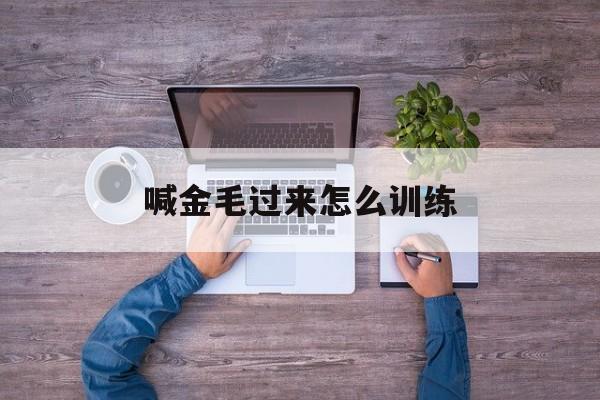 喊金毛过来怎么训练(怎么叫金毛名字他才会理你)