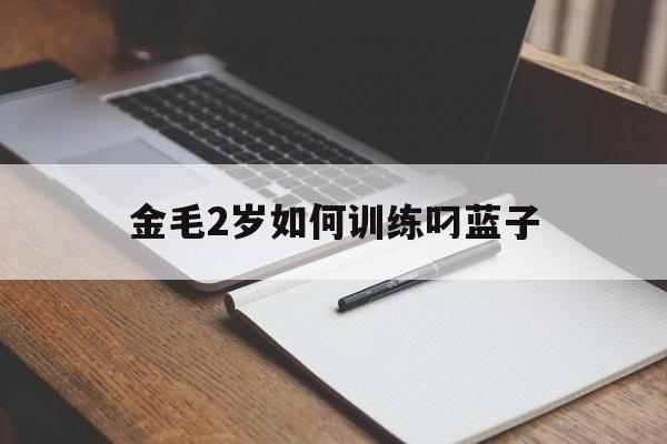 金毛2岁如何训练叼蓝子(2岁金毛怎么训练才听话的)