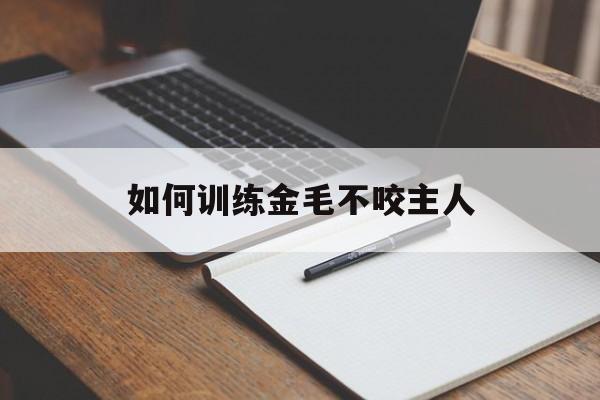 如何训练金毛不咬主人(如何训练金毛不咬主人脚)