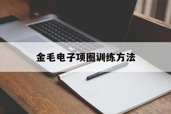 金毛电子项圈训练方法(金毛狗绳的套法步骤图解)